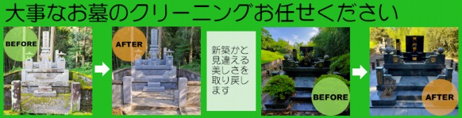 ̃N[jO
